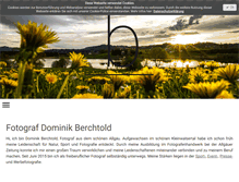 Tablet Screenshot of dberchtold.com